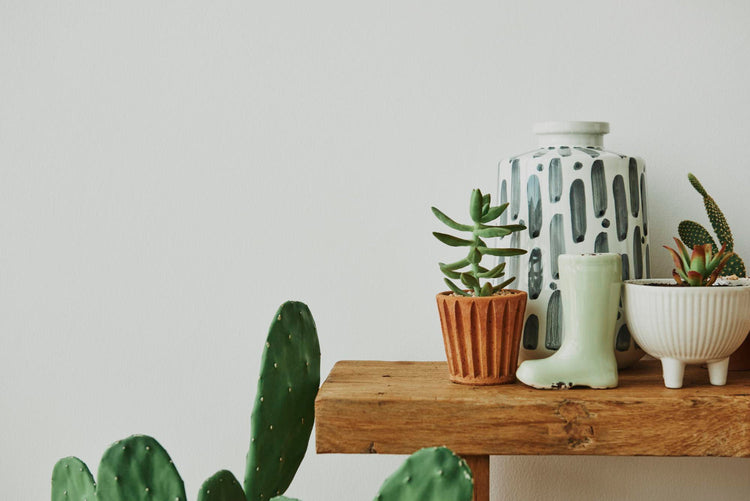 Planters